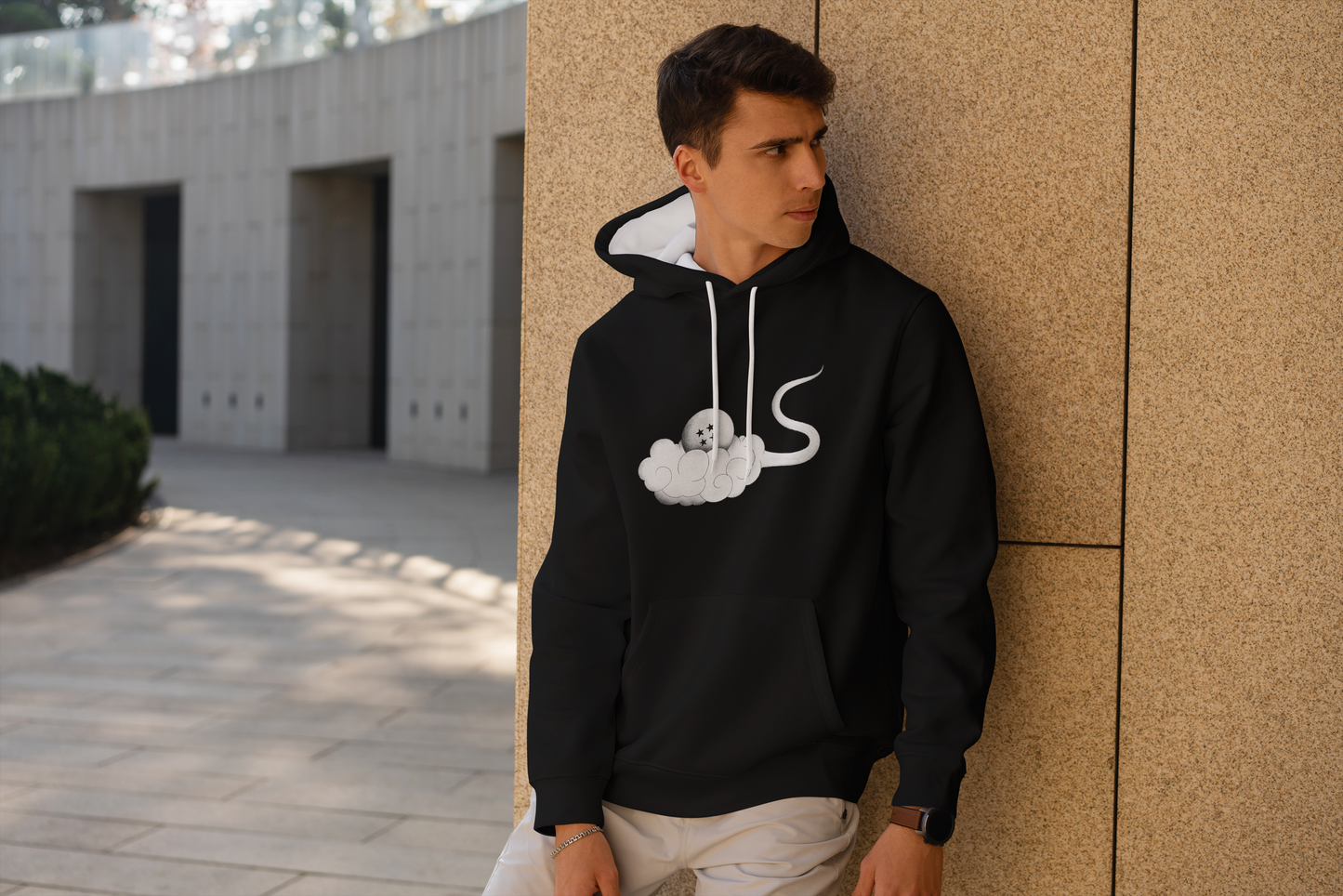 Buzo, hoodie personalizado Shenglong Dragon ball